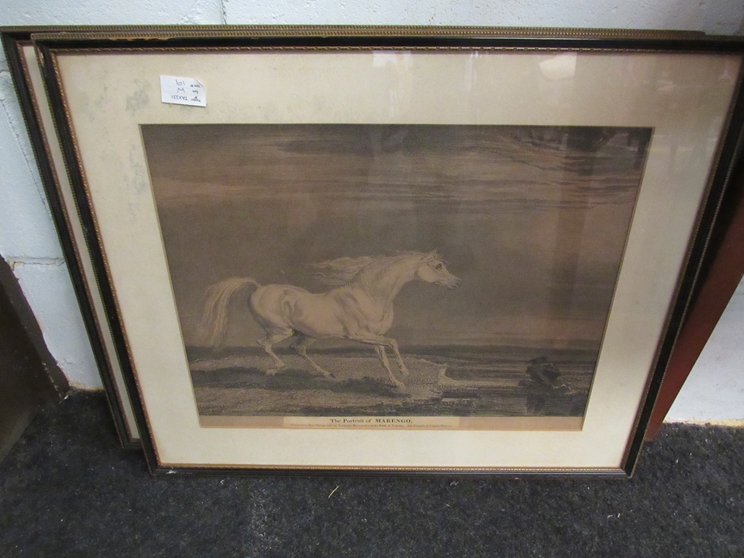 A 19th Century print "The Portrait of Morengo" Napoleon's horse, framed and glazed, and another,