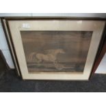 A 19th Century print "The Portrait of Morengo" Napoleon's horse, framed and glazed, and another,