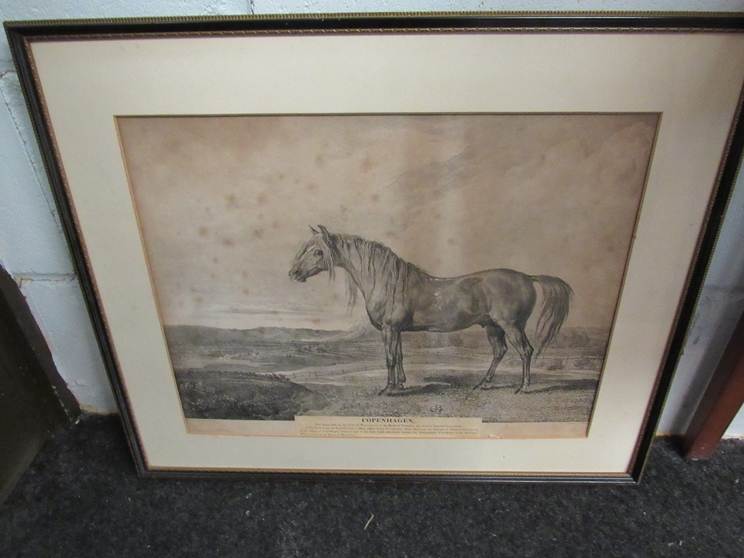 A 19th Century print "The Portrait of Morengo" Napoleon's horse, framed and glazed, and another, - Image 2 of 2