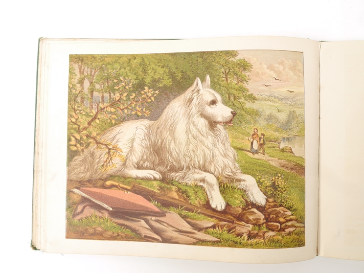 'The Childs Picture Book of Domestic Animals', London, George Routledge, [1869], - Image 3 of 4