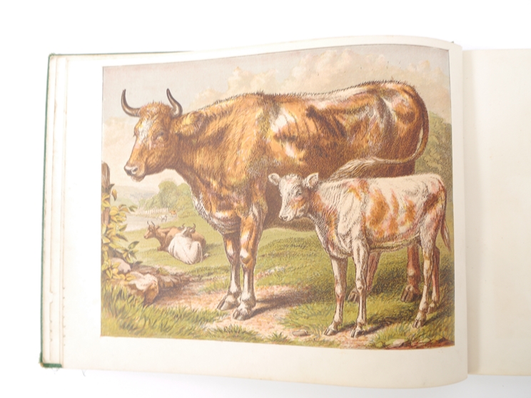 'The Childs Picture Book of Domestic Animals', London, George Routledge, [1869], - Image 4 of 4