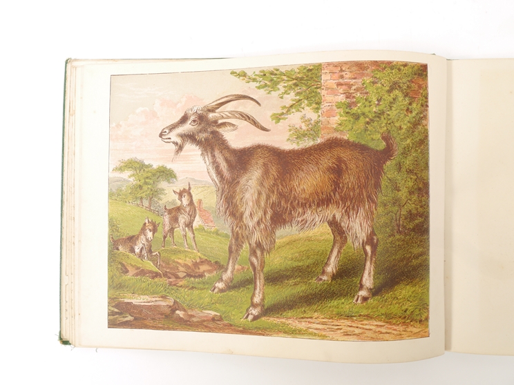 'The Childs Picture Book of Domestic Animals', London, George Routledge, [1869], - Image 2 of 4