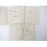 Three early 20th Century botanical manuscript students exercise books by Joyce Hawkes,