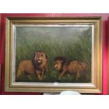 A 19th Century oil on canvas depicting lions in jungle grass,