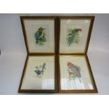 After Lorraine Seymour, a set of four pictures of Australian birds,