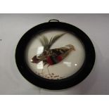 A circular framed and glazed image of a bird made from feathers,