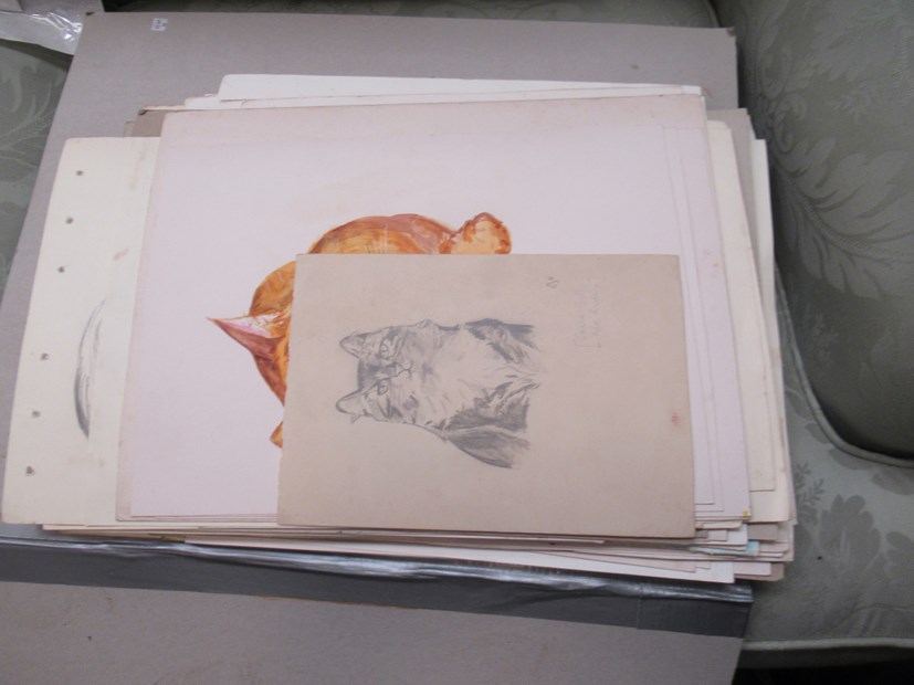 A portfolio of watercolours and drawings by SONIA BULL (née Rudkin, signed STR), approx. - Image 2 of 2