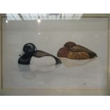 GEOFF TRINDER; A watercolour depicting duck in water, signed and dated lower right,