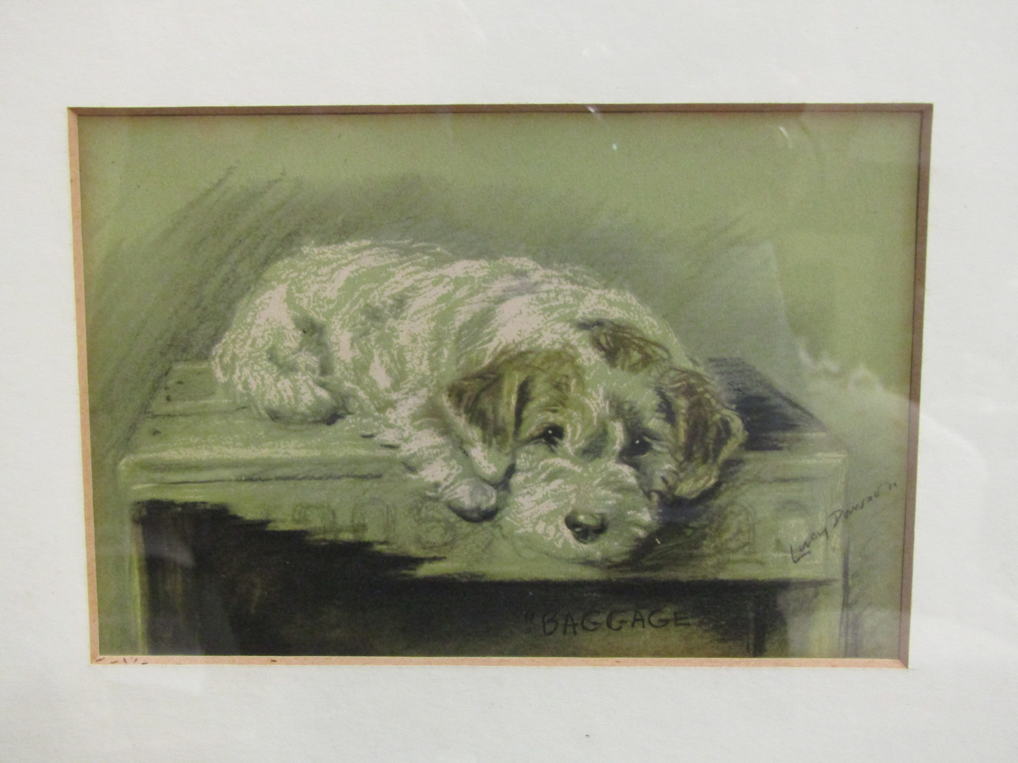 Lucy Dawson: A print of a terrier dog framed and glazed,