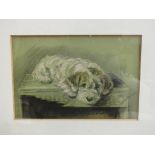 Lucy Dawson: A print of a terrier dog framed and glazed,