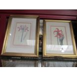 Six gilt framed coloured prints of floral specimens,