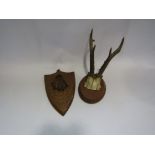 A taxidermy otter's foot on plaque and a pair of mounted antlers