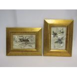 A small pair of early 20th Century hand-coloured insect prints,