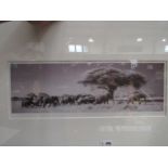 Martyn Colbeck pencil signed wildlife photograph depicting Herd of elephants, 18cm x 50cm,