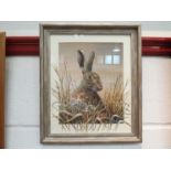 MARK CHESTER (B.1960): A framed & glazed watercolour titled 'Watchful Hare' signed lower right.