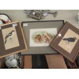 Two coloured framed bookplates of birds and another (3)