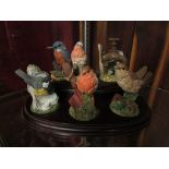 A set of six Royal Doulton bird figures with display stand