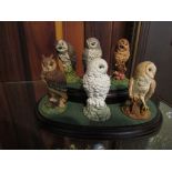 A set of six Royal Doulton owl figurines with display stand