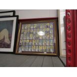 Two framed and glazed displays of cigarette cards,