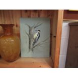 A pair of oil on canvas pictures of a Great Spotted and Green Woodpecker,