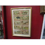 A framed and glazed display of Les Mammiferes cards,