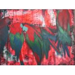 AMANDA HAUCHEN (Contemporary Suffolk based artist) Two oils on canvas studies of Parrots.