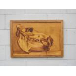 A pair of framed and glazed monotone watercolours, studies of animal head skulls, set in oak frames,