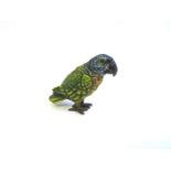 A reproduction cold painted parrot with hinged head, stamped 2837 Geschutzt,