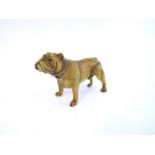 A reproduction cold painted American Bulldog,