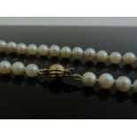A single strand pearl necklace with 9ct gold clasp, 5mm pearls,