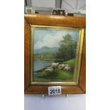 A walnut framed oil painting of rural scene with sheep.