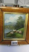 A walnut framed oil painting of rural scene with sheep.