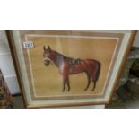 A framed and glazed signed print of Red Rum by Neil Cawthorne.