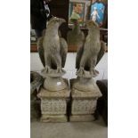 A pair of eagle garden statues. ****Condition report**** Eagle height 62.5cm.