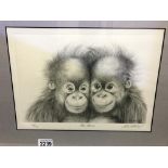 A framed and glazed signed limited edition print entitled 'The Twins', 98/750.