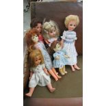 A good collection of vintage dolls including Ideal and Pedigree.