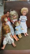 A good collection of vintage dolls including Ideal and Pedigree.