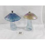 2 John Ditchfield Glasform mushrooms,
