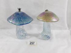 2 John Ditchfield Glasform mushrooms,