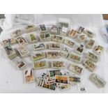 A good mixed lot of odd cigarette cards, dogs, butterflies, birds, film stars etc.