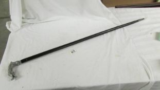 An old sword stick with dragon head handle, length 92 cm, blade 58 cm.