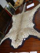 A leopardskin rug.