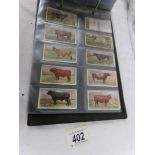 An album containing 12 sets of cigarette cards, Player's, Will's, cricketers, dogs,