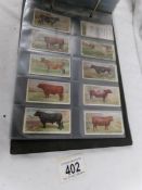 An album containing 12 sets of cigarette cards, Player's, Will's, cricketers, dogs,