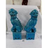 A pair of blue glazed Chinese dogs of foo, 31 cm.
