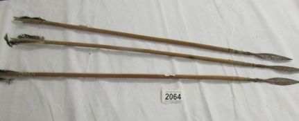3 South American hunting arrows.
