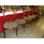 Five Victorian mahogany cabriole leg balloon back chairs.