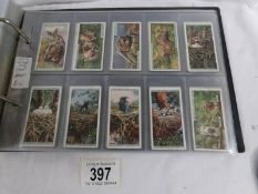 An album containing 9 set of cigarette cards including Player's Animals of the Countryside,