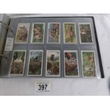 An album containing 9 set of cigarette cards including Player's Animals of the Countryside,