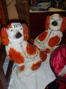 A pair of Victorian Staffordshire spaniels (hair line cracks).